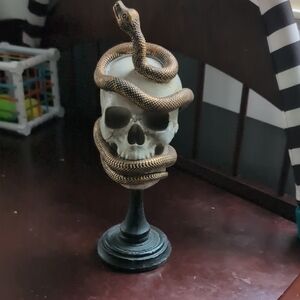 Ashland Snake Skull Display - Black and Brown